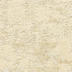 Pattern Shoreline Beige/Tan Carpet