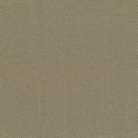 Pattern Afternoon Tea Beige/Tan Carpet