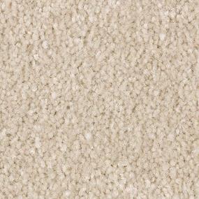 Textured Saxony Charmer Beige/Tan Carpet