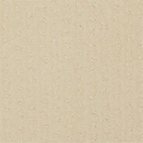 Pattern Pin Beige/Tan Carpet