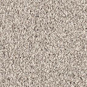 Textured Saxony Sophisticate Gray Carpet