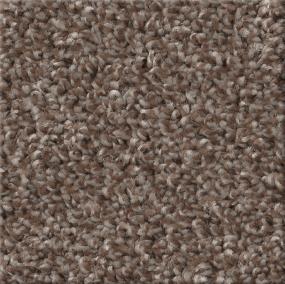 Cut Pile Plantation Brown Carpet