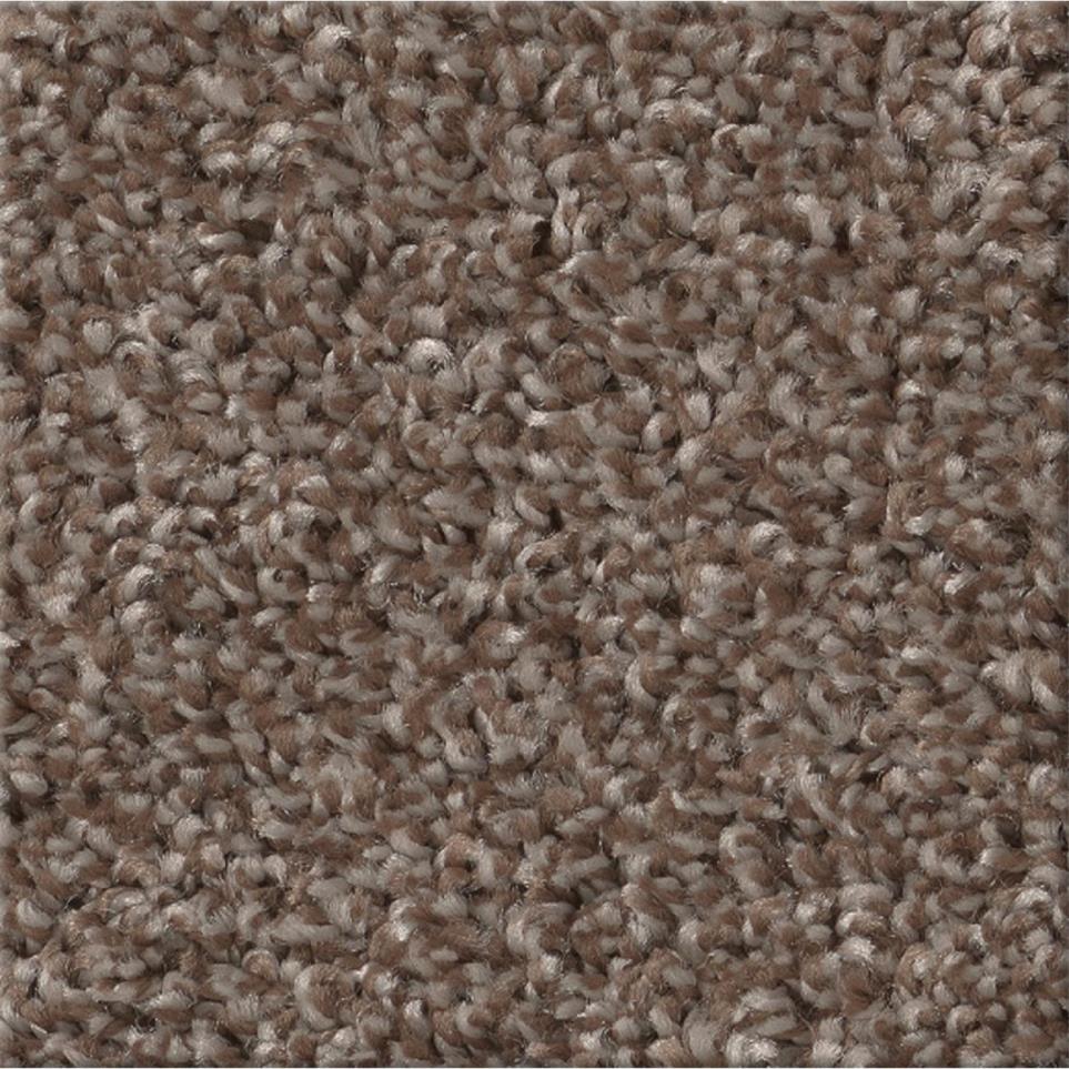 Cut Pile Plantation Brown Carpet