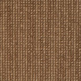 Pattern Wildwood Brown Carpet