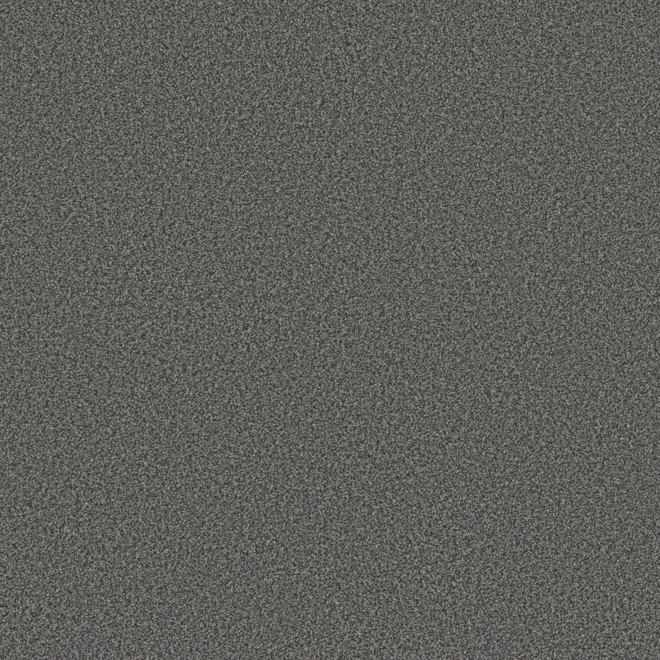 Textured Saxony Sequin Night Gray Carpet