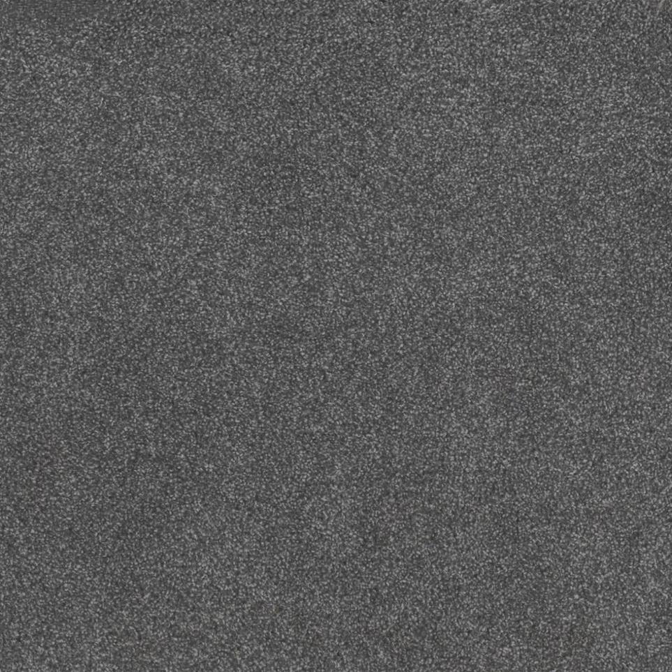 Cut Pile Optimal Black Carpet
