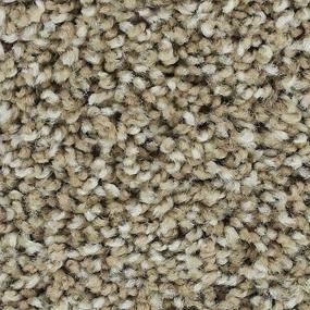 Textured Saxony Putty Brown Carpet