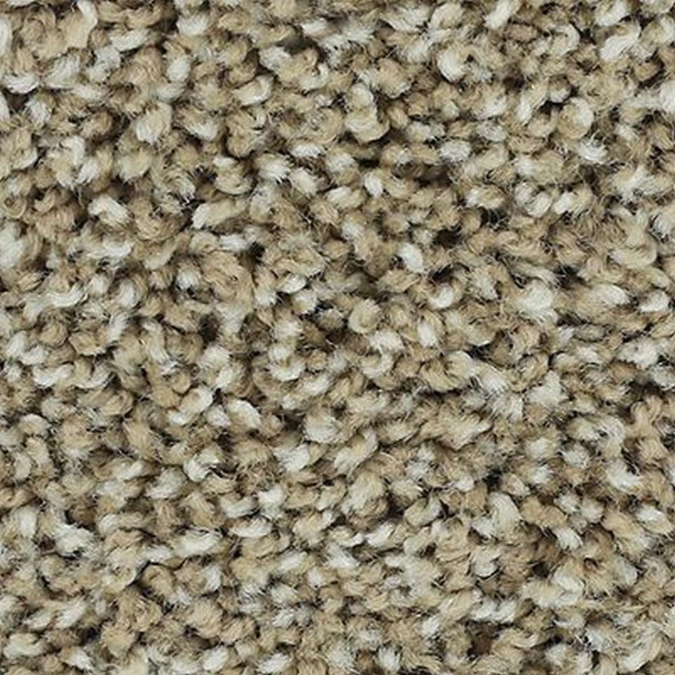 Textured Saxony Putty Brown Carpet