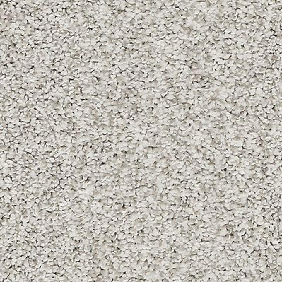 Textured Saxony Stepping Stone Gray Carpet