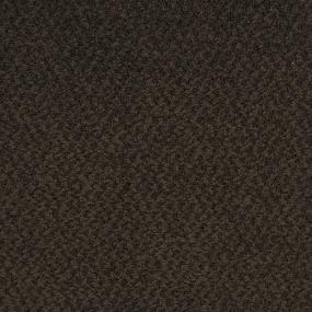 Pattern Mink Brown Brown Carpet