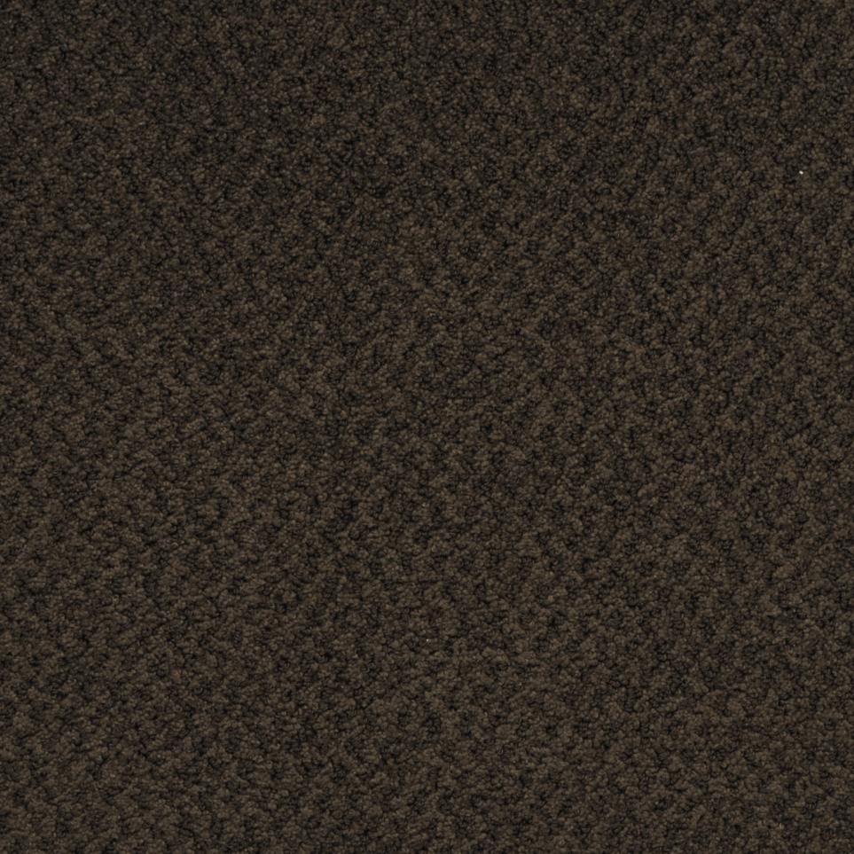 Pattern Mink Brown Brown Carpet