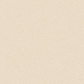 Textured Saxony Windswept Beige/Tan Carpet