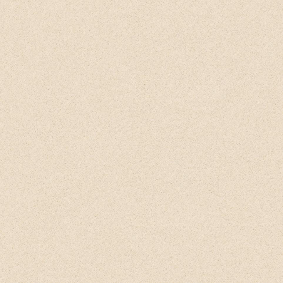 Textured Saxony Windswept Beige/Tan Carpet