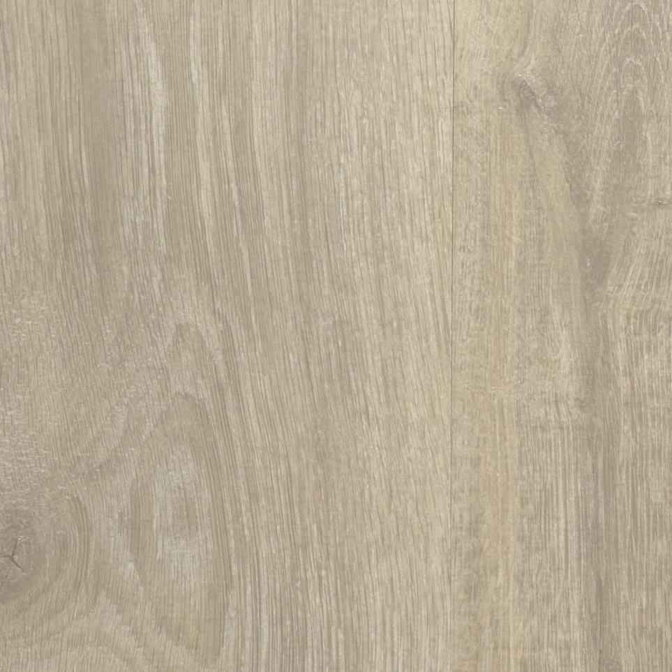 Plank Soft Chamois Oak Light Finish Laminate