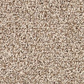 Textured Saxony Gondola Beige/Tan Carpet
