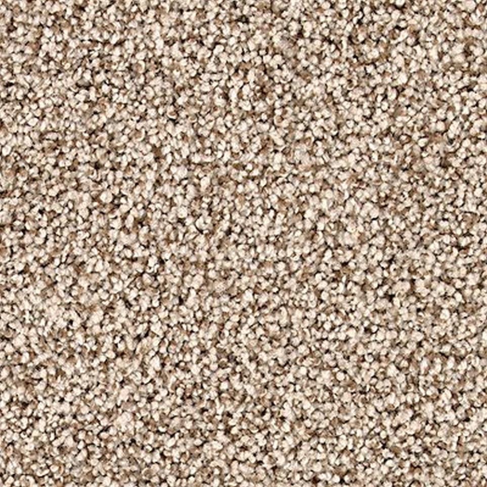 Textured Saxony Gondola Beige/Tan Carpet