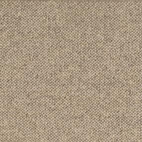 Pattern Cobblestone Beige/Tan Carpet