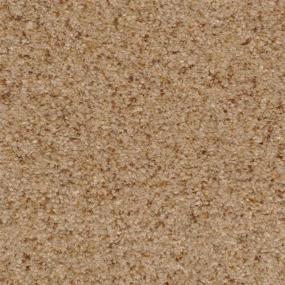 Casual Texture Sandstone Brown Carpet