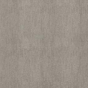 Pattern Tarnished Beige/Tan Carpet