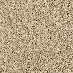 Textured Saxony Dillon Brown Carpet