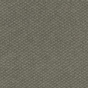 Pattern Executive Gray Carpet