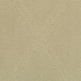 Pattern Mushroom Beige/Tan Carpet