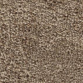 Textured Saxony Blonde Willow Beige/Tan Carpet