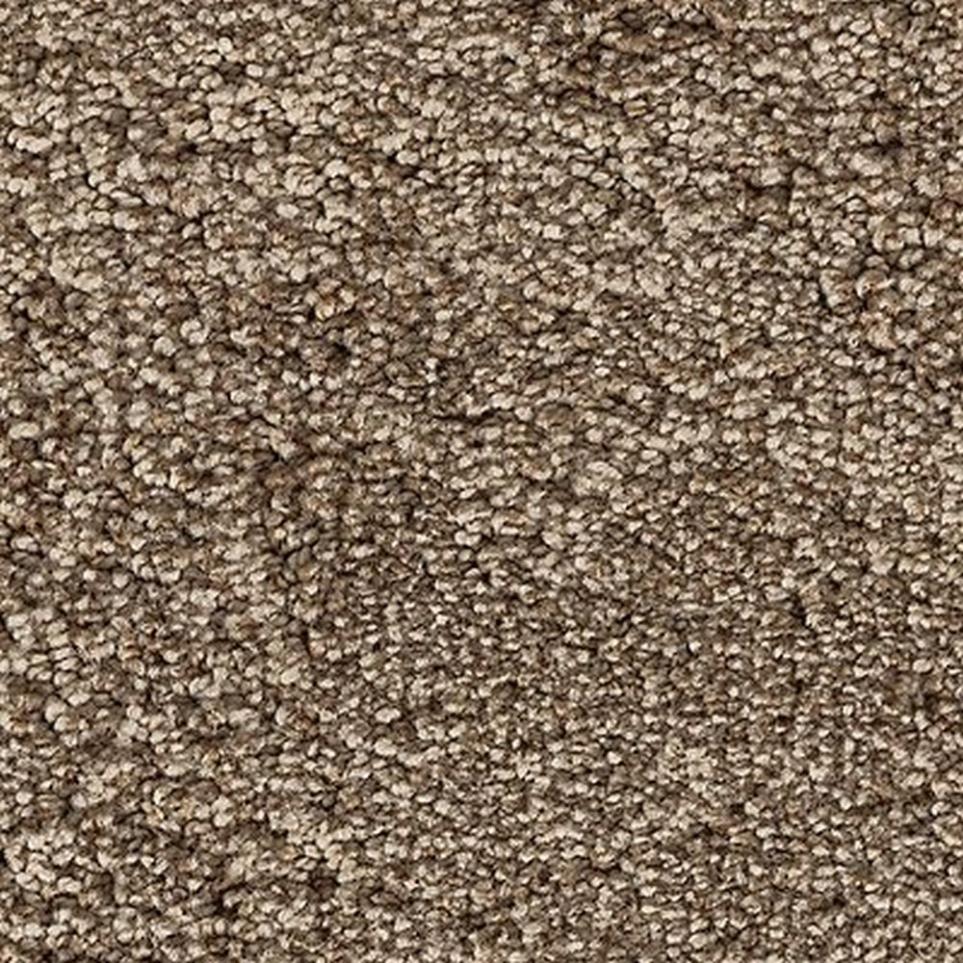 Textured Saxony Blonde Willow Beige/Tan Carpet