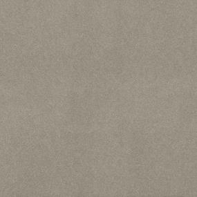 Textured Saxony Breezy Brown Carpet