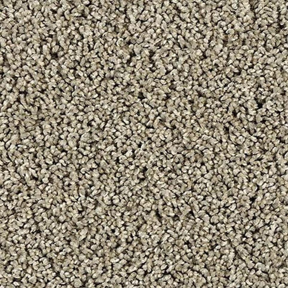 Cut Pile North Wind Gray Carpet