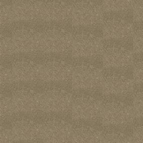 Textured Saxony Safari Tan Beige/Tan Carpet