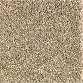 Textured Saxony Safari Tan Beige/Tan Carpet