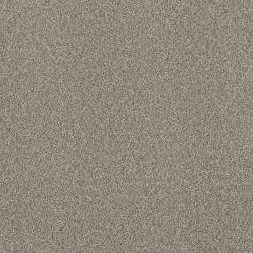 Textured Saxony Manor Beige/Tan Carpet