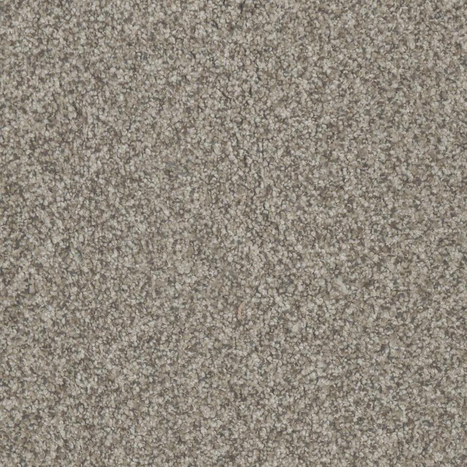 Texture Manor Beige/Tan Carpet