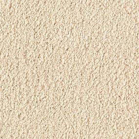 Textured Saxony Designer Beige/Tan Carpet