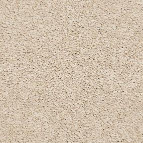 Textured Saxony Haze Beige/Tan Carpet