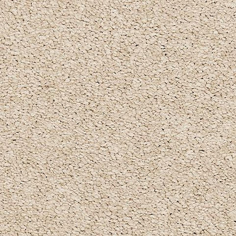Textured Saxony Haze Beige/Tan Carpet