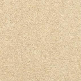 Casual Texture Trusty Beige/Tan Carpet