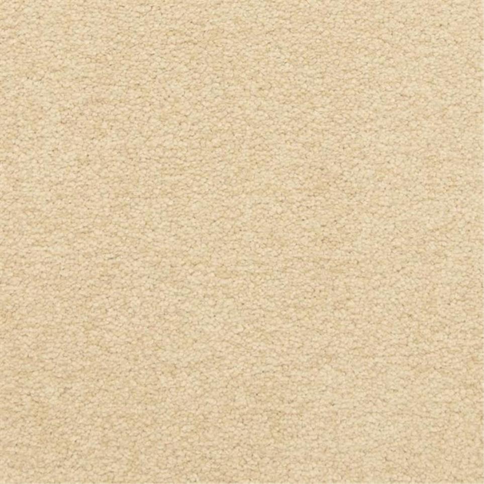 Casual Texture Trusty Beige/Tan Carpet
