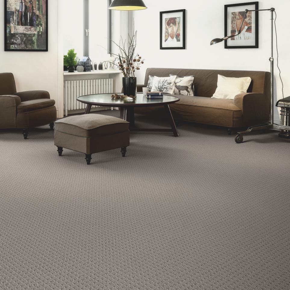 Loop Shade Gray Carpet