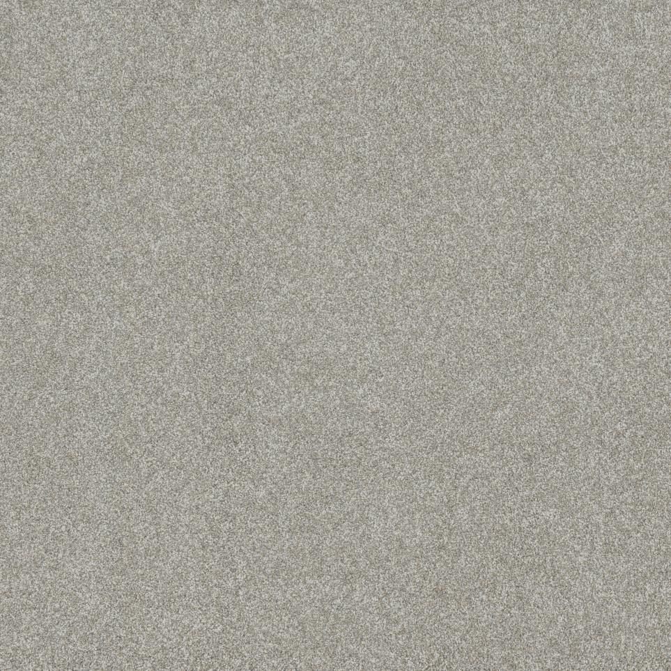 Textured Saxony Memoir Gray Carpet