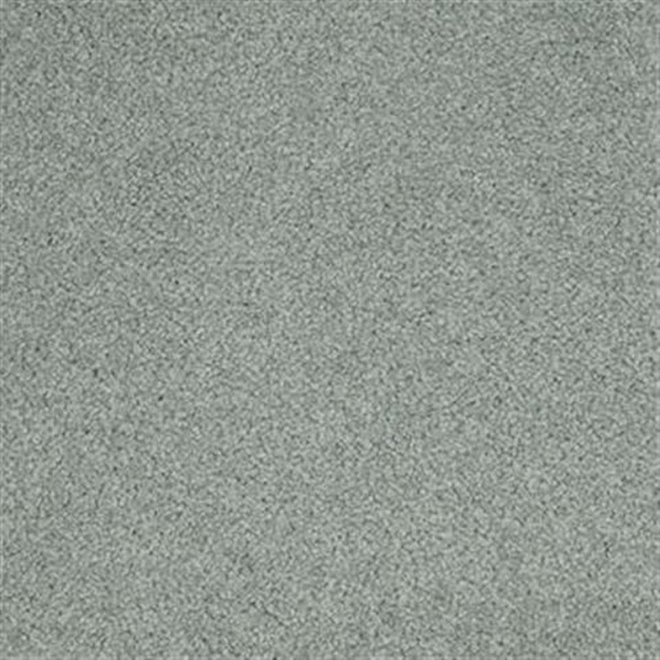 Textured Saxony Links Gray Carpet