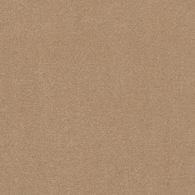 Cut Pile Tortilla Beige/Tan Carpet