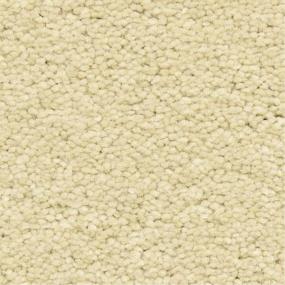 Casual Texture Hongo Beige/Tan Carpet