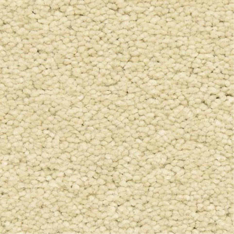 Casual Texture Hongo Beige/Tan Carpet