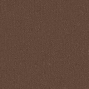 Pattern Terracotta Brown Carpet