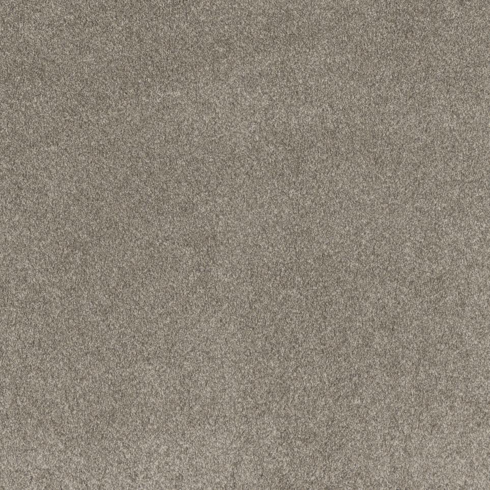 Texture Casual Setting Beige/Tan Carpet