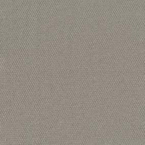 Pattern Best Dressed Brown Carpet