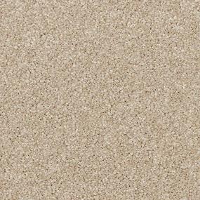 Texture Dahlia Beige/Tan Carpet