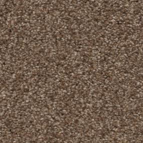 Casual Texture Boardwalk Brown Carpet